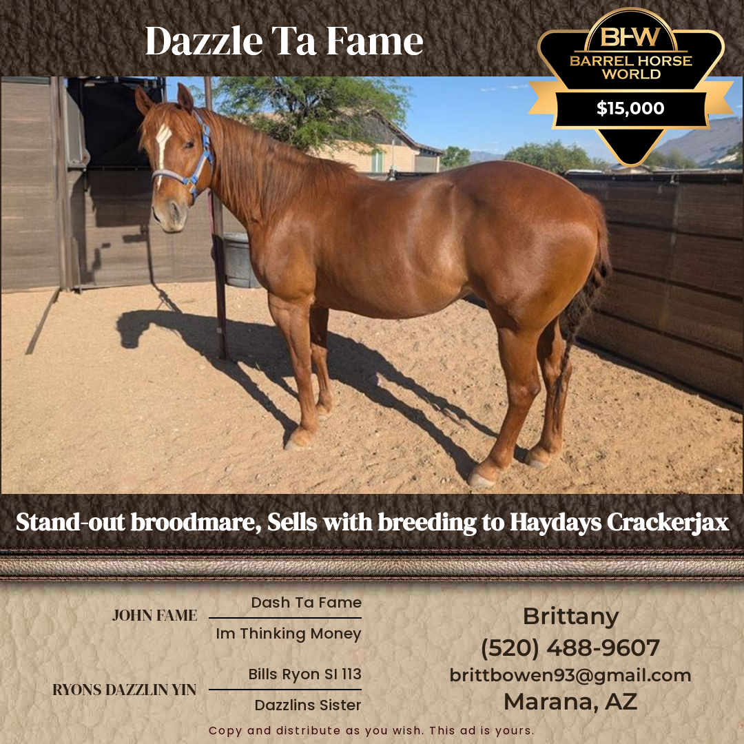 10  year old Mare
