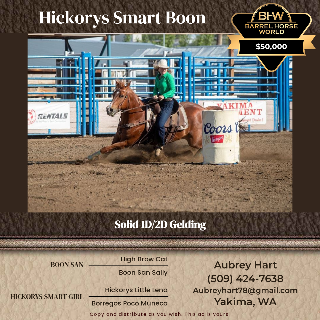 10  year old Gelding