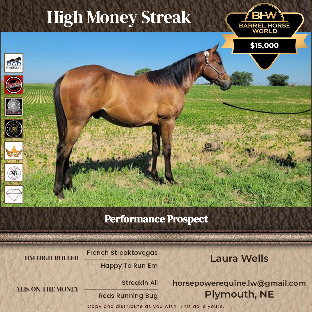 1  year old Gelding