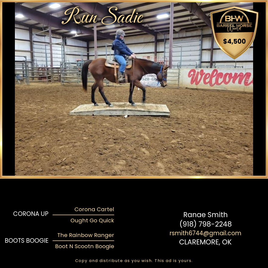 Barrel Horses For Sale