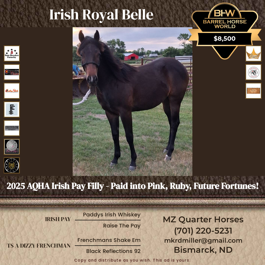 1  year old Mare