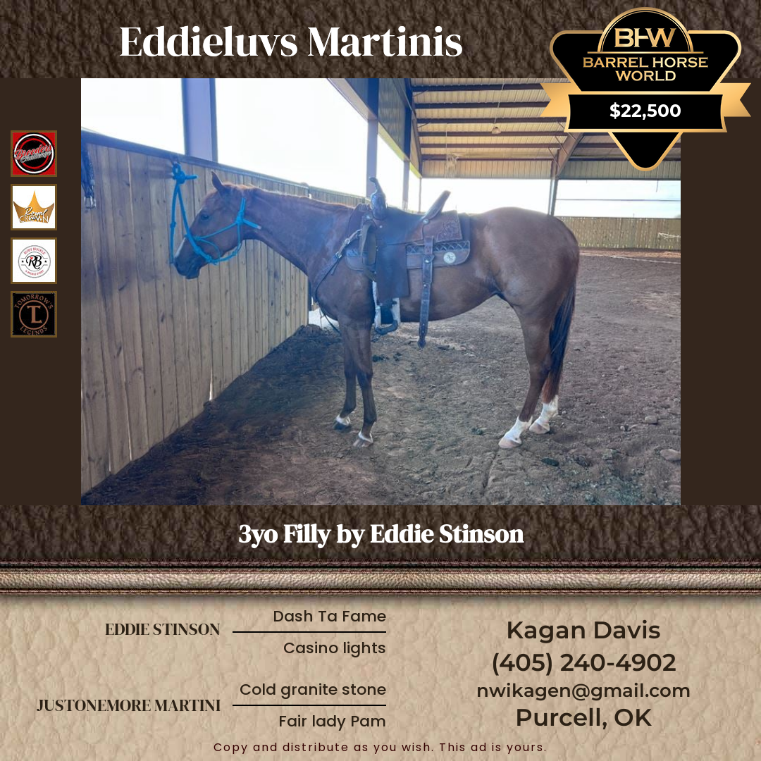 3  year old Mare