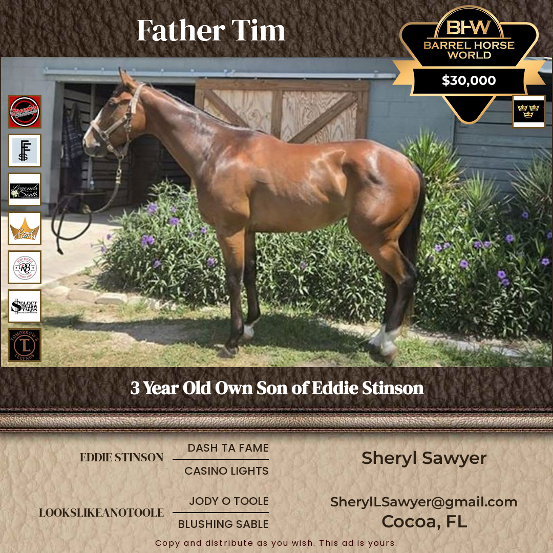 3  year old Gelding