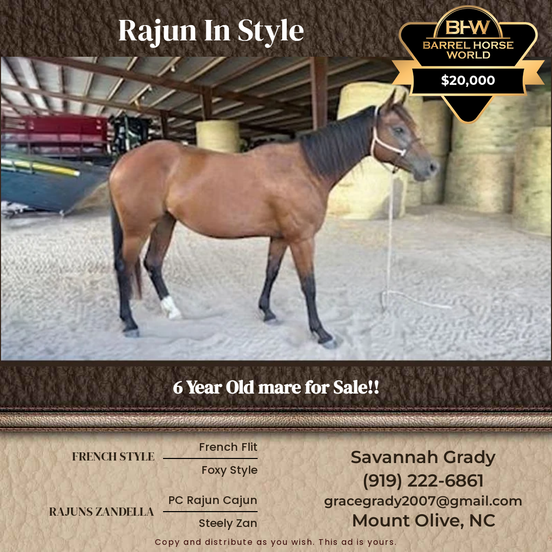 Select Year  year old Mare