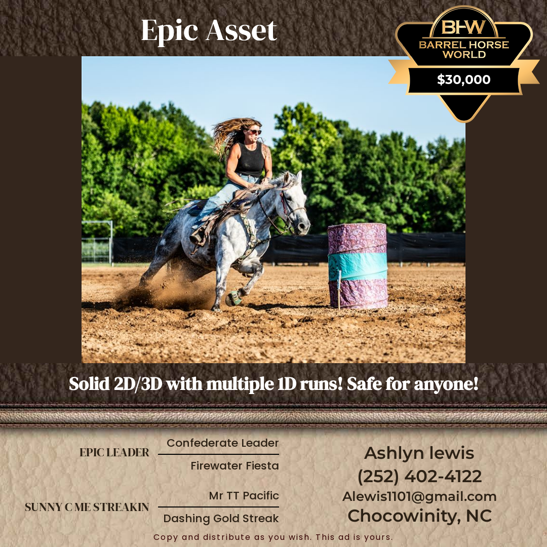 5  year old Gelding