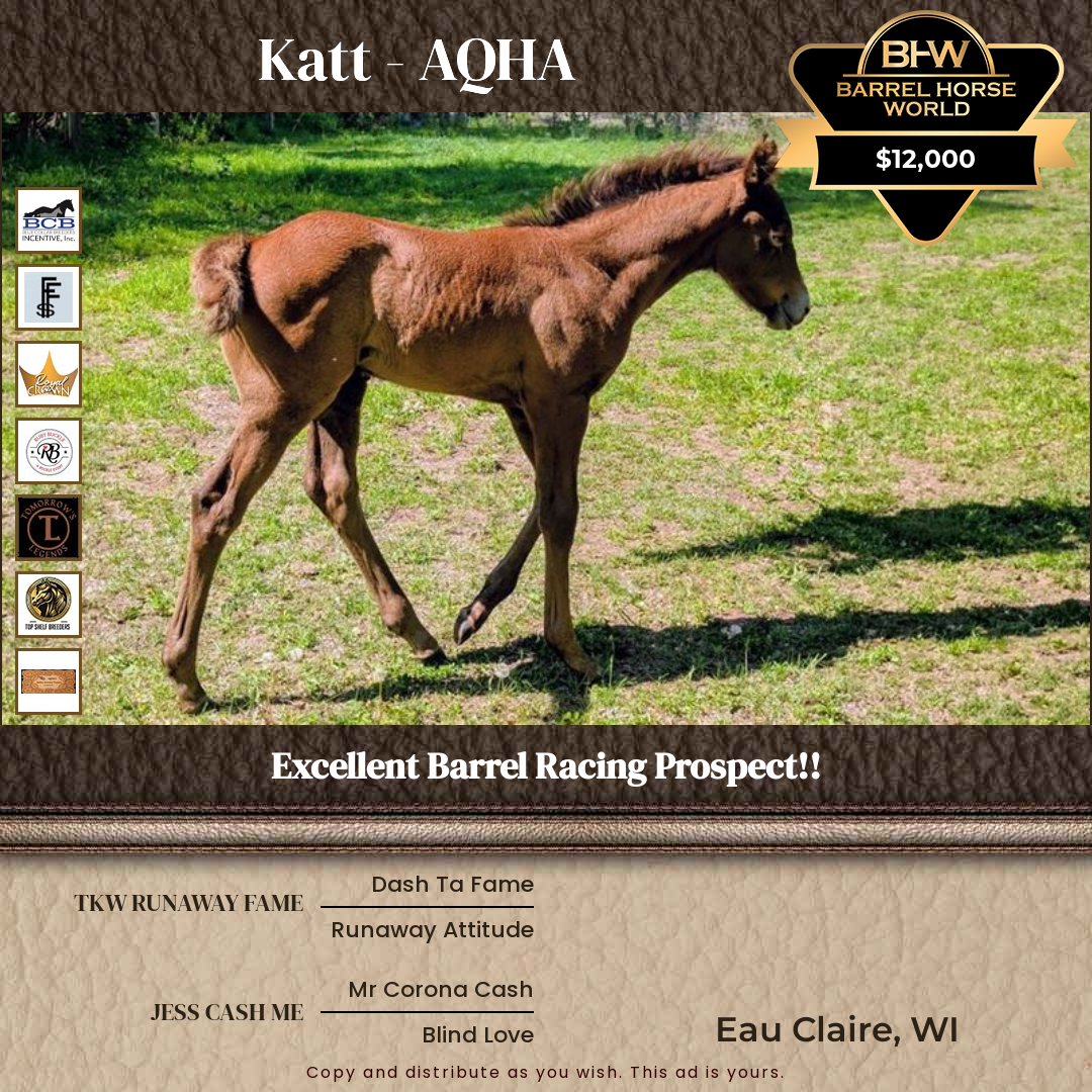 Weanling  year old Mare