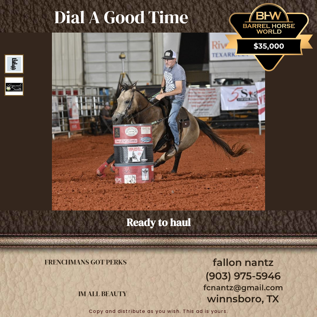 10  year old Gelding