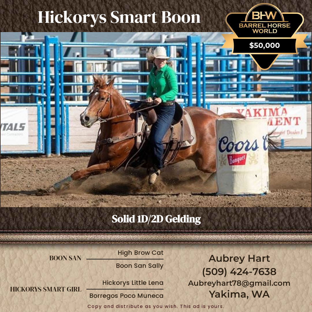 10  year old Gelding