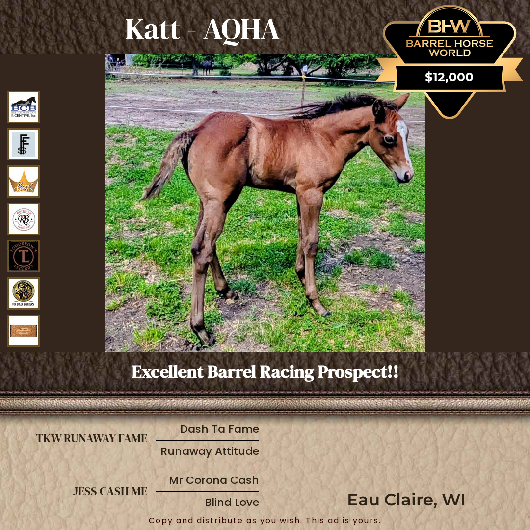 Weanling  year old Mare
