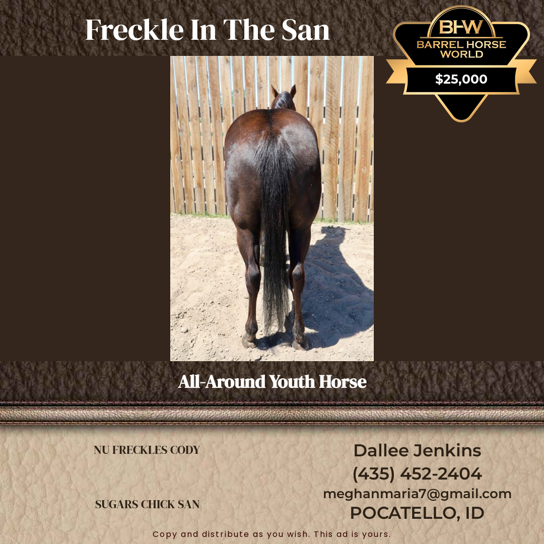 Select Year  year old Mare