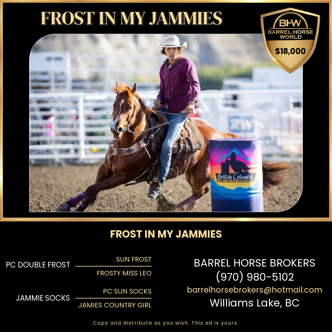 Barrel Horses For Sale