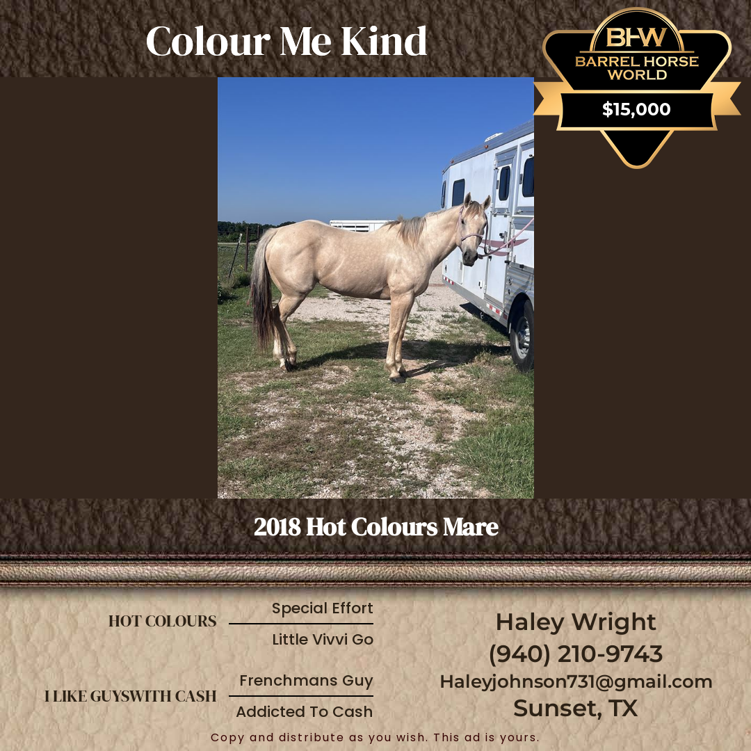 8  year old Mare