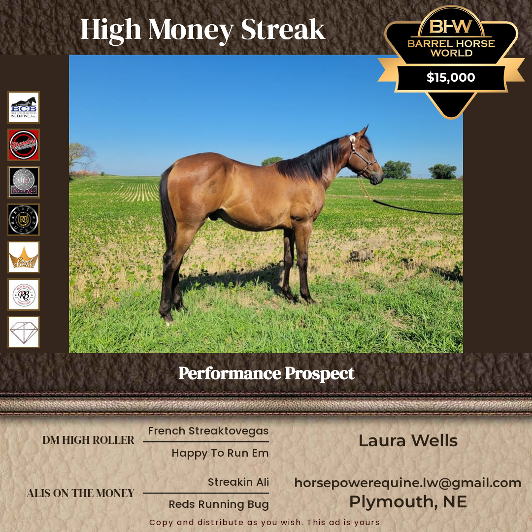 1  year old Gelding