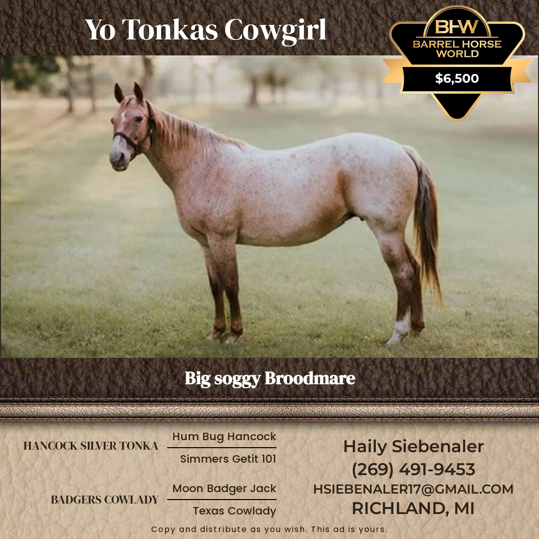 15  year old Mare