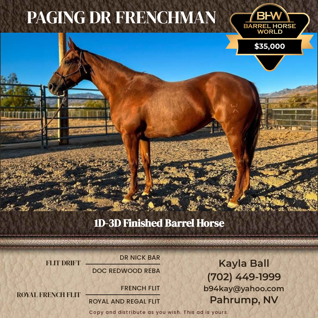 8  year old Mare