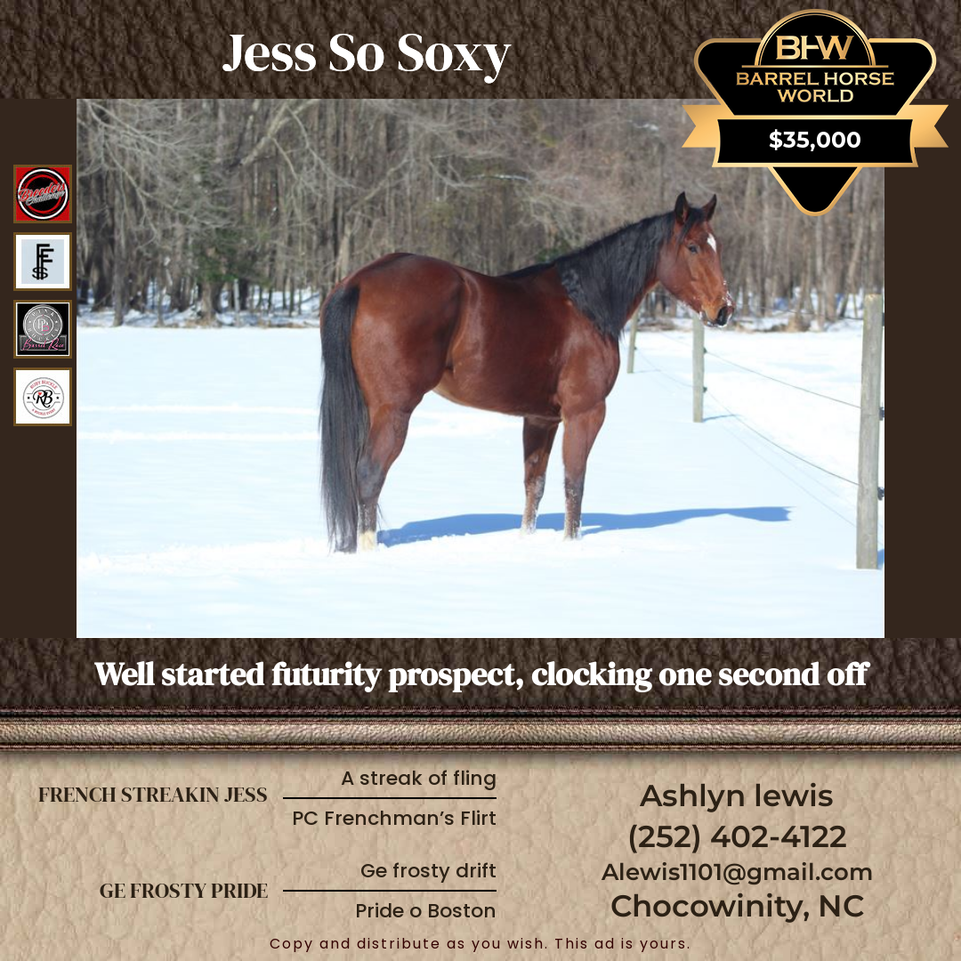 4  year old Mare
