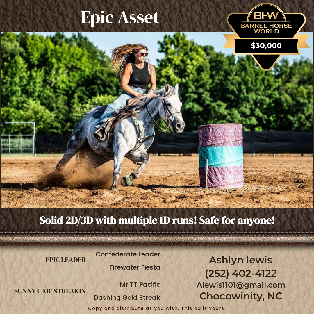5  year old Gelding